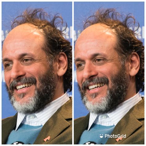 guadagnino movies|luca guadagnino net worth.